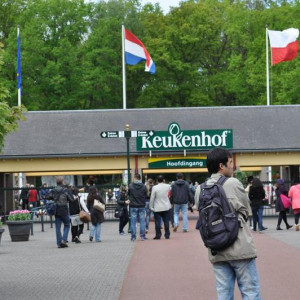 Keukenhof