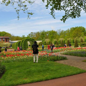 Keukenhof
