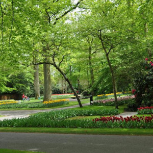 Keukenhof
