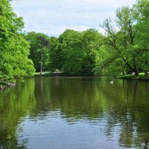 Keukenhof