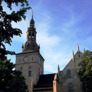 FIORDES 1 022