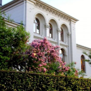 FIORDES 1 181