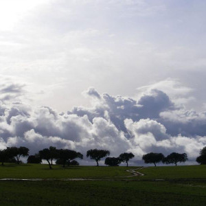 DSCF5246