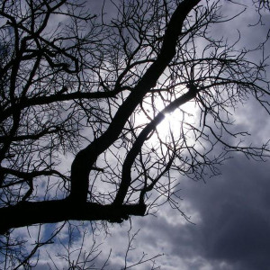 DSCF6172