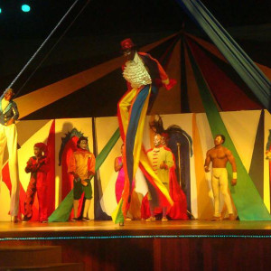 Espetáculo - circo