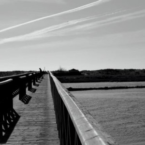 LAGO 086