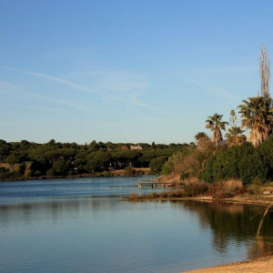 LAGO 2 005
