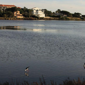 LAGO 2 095