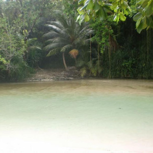 Frenchmans Cove