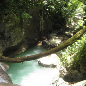Somerset Falls