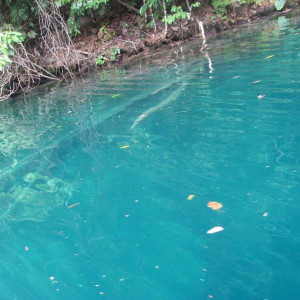 Lagoa Azul