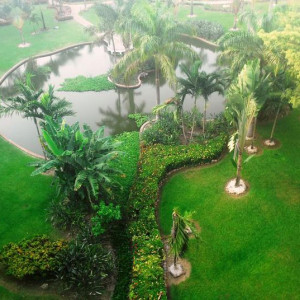 Jardim do Hotel