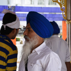 India_2016 (44)