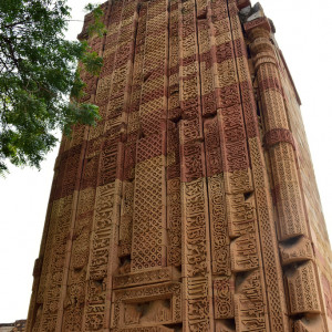 India_2016 (48)