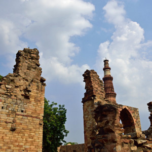 India_2016 (49)