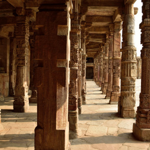 India_2016 (51)
