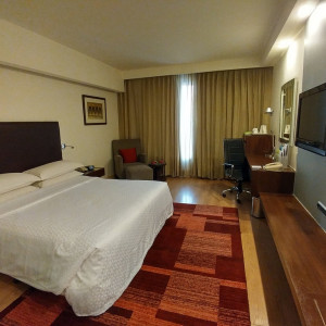 India_2016 (69)