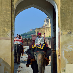 India_2016 (73)