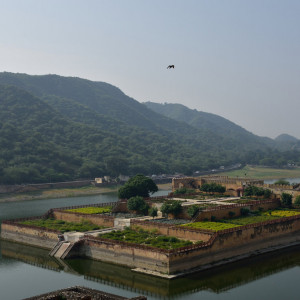 India_2016 (75)