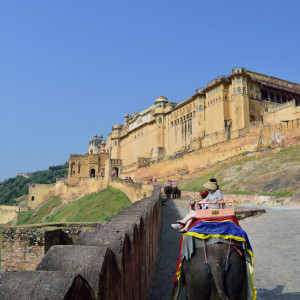 India_2016 (76)