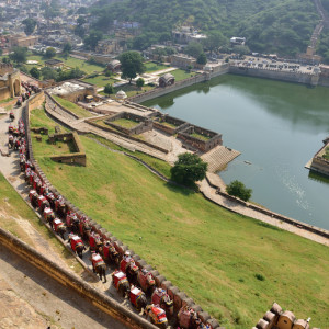 India_2016 (85)