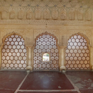 India_2016 (86)