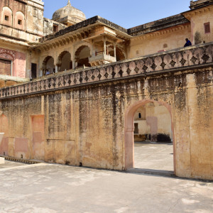 India_2016 (88)