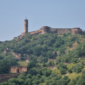 India_2016 (91)
