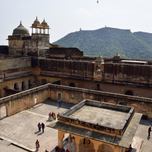 India_2016 (93)