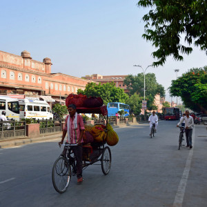 India_2016 (105)
