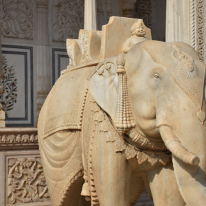India_2016 (109)