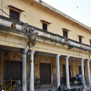 India_2016 (116)