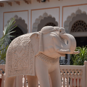 India 2016 (135)