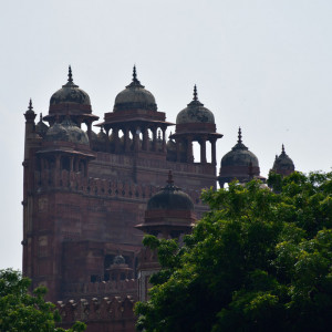 India 2016 (137)
