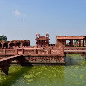 India 2016 (146)