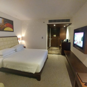 India 2016 (154)
