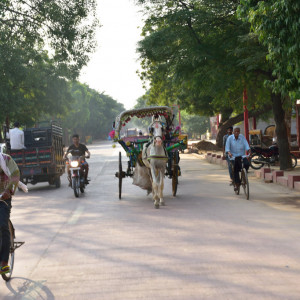 India 2016 (157)
