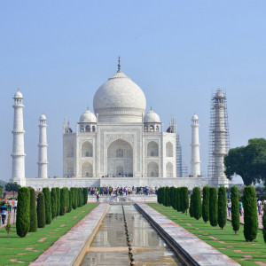India 2016 (161)