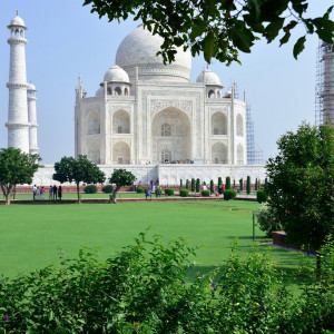India 2016 (164)