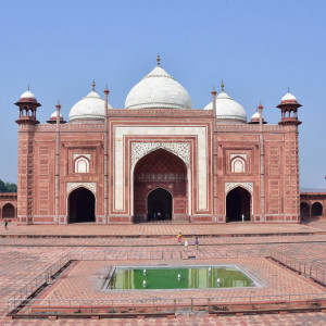 India 2016 (171)