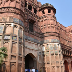 India 2016 (175)