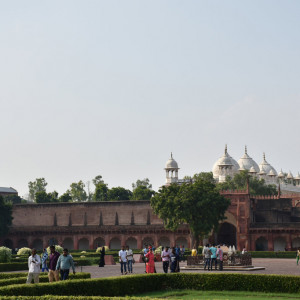 India 2016 (185)