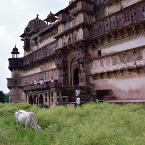 India 2016 (204)