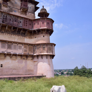 India 2016 (205)