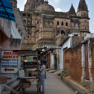 India 2016 (223)