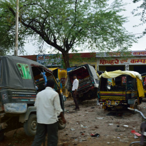 India 2016 (225)