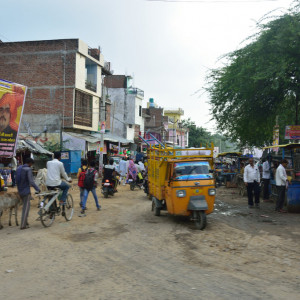 India 2016 (226)