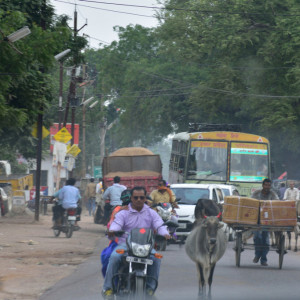 India 2016 (227)