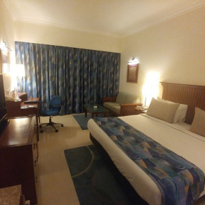India 2016 (231)