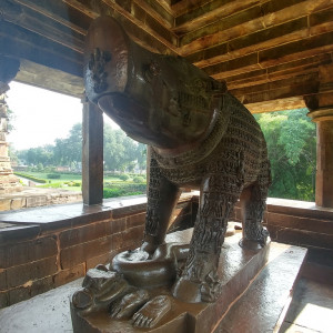 India 2016 (236)